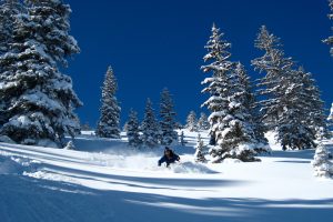 Best Colleges for Skiers and Snowboarders